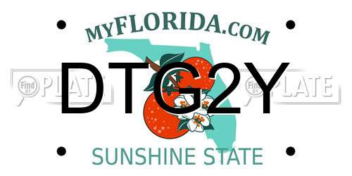 DTG2Y Florida License Plate