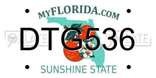DTG536 Florida License Plate