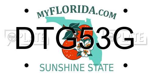 DTG53G Florida License Plate