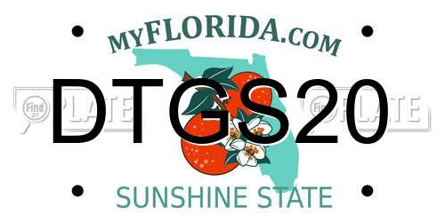 DTGS20 Florida License Plate