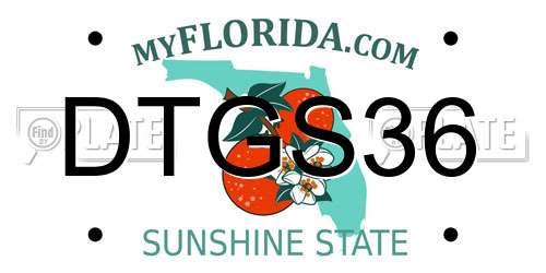 DTGS36 Florida License Plate