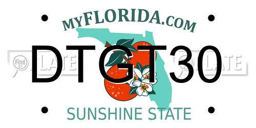 DTGT30 Florida License Plate