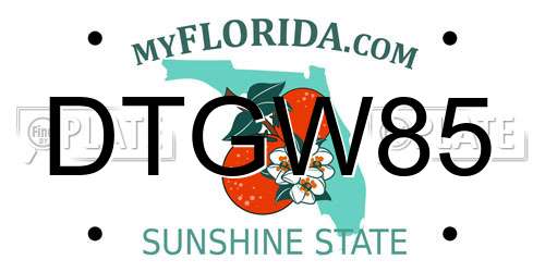 DTGW85 Florida License Plate