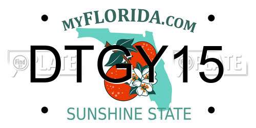 DTGY15 Florida License Plate