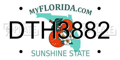 DTH3882 Florida License Plate