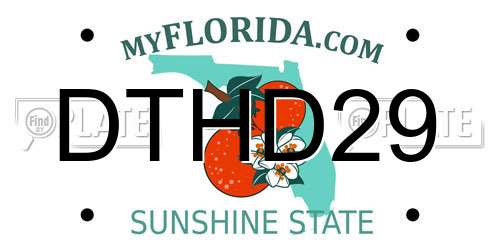 DTHD29 Florida License Plate
