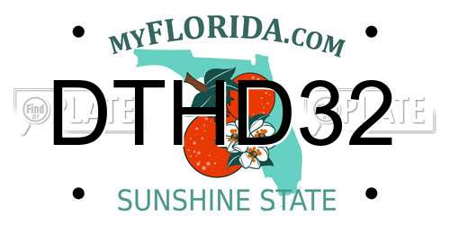 DTHD32 Florida License Plate