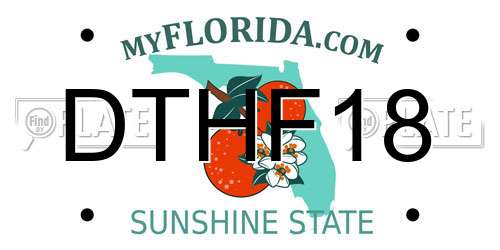 DTHF18 Florida License Plate