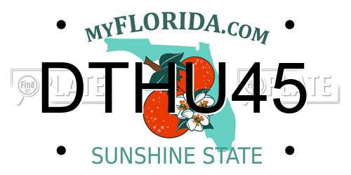 DTHU45 Florida License Plate