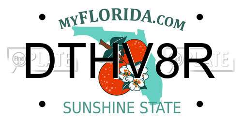 DTHV8R Florida License Plate