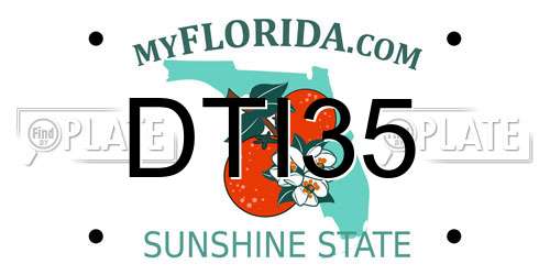 DTI35 Florida License Plate