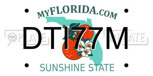 DTI77M Florida License Plate