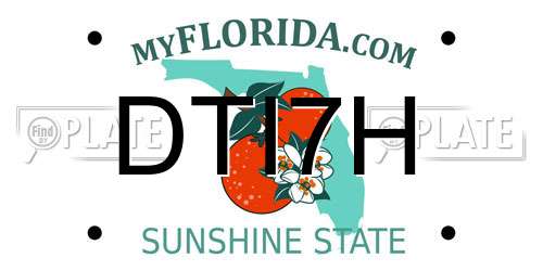 DTI7H Florida License Plate