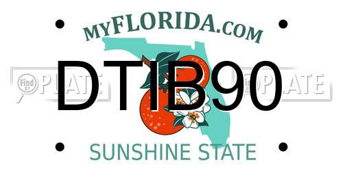 DTIB90 Florida License Plate