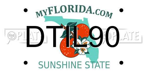 DTIL90 Florida License Plate