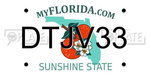DTJV33 Florida License Plate