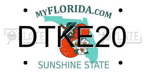 DTKE20 Florida License Plate