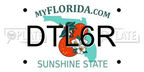 DTL6R Florida License Plate
