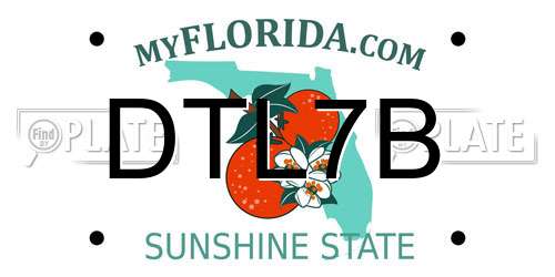 DTL7B Florida License Plate