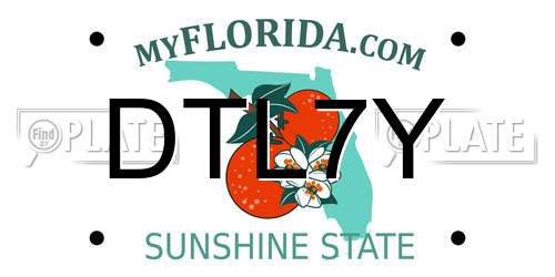 DTL7Y Florida License Plate