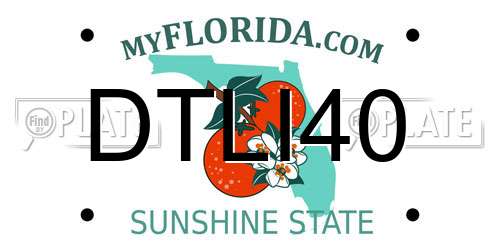 DTLI40 Florida License Plate