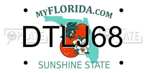 DTLJ68 Florida License Plate