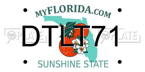 DTLT71 Florida License Plate