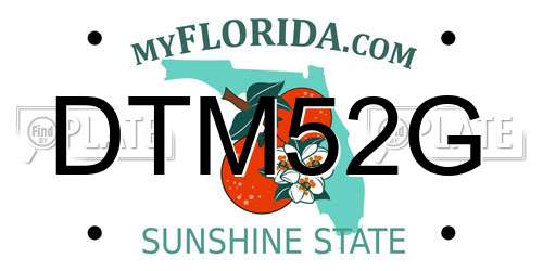 DTM52G Florida License Plate