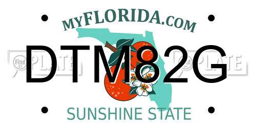 DTM82G Florida License Plate