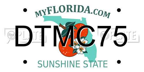 DTMC75 Florida License Plate