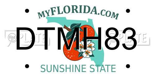 DTMH83 Florida License Plate