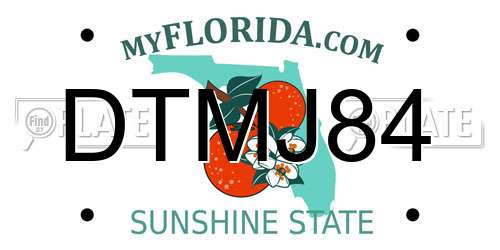 DTMJ84 Florida License Plate