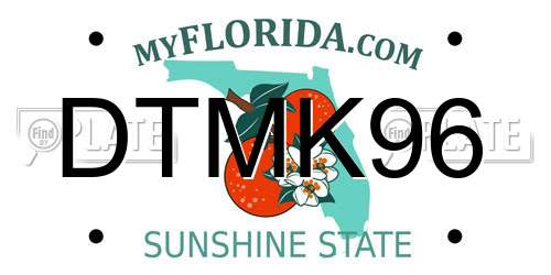 DTMK96 Florida License Plate