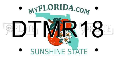 DTMR18 Florida License Plate