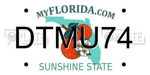 DTMU74 Florida License Plate