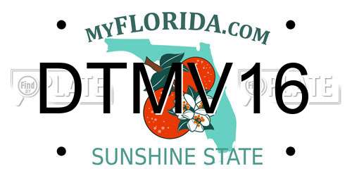DTMV16 Florida License Plate