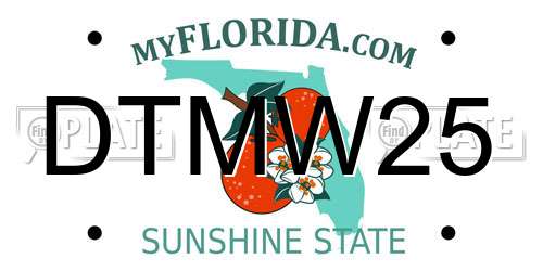 DTMW25 Florida License Plate