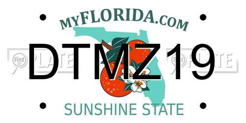 DTMZ19 Florida License Plate