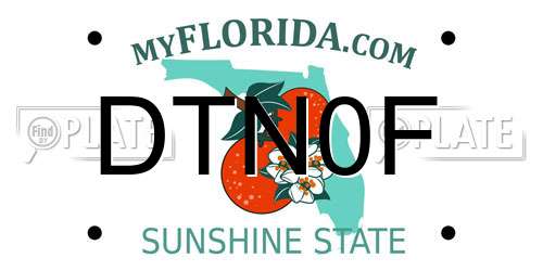 DTN0F Florida License Plate