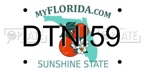 DTNI59 Florida License Plate