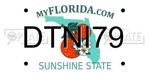 DTNI79 Florida License Plate