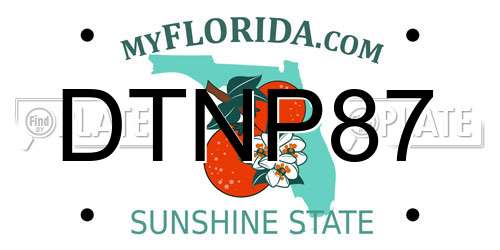 DTNP87 Florida License Plate