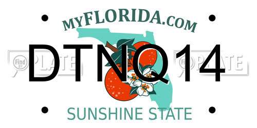 DTNQ14 Florida License Plate
