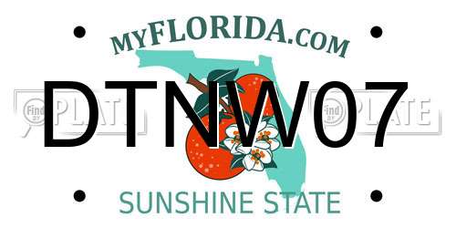 DTNW07 Florida License Plate