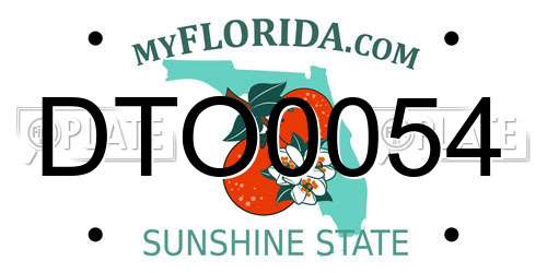 DTO0054 Florida License Plate