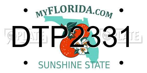 DTP2331 Florida License Plate
