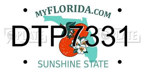 DTP7331 Florida License Plate