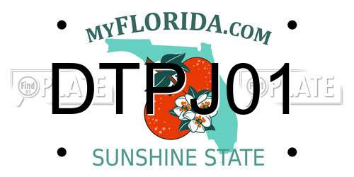 DTPJ01 Florida License Plate