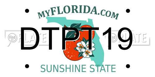 DTPT19 Florida License Plate