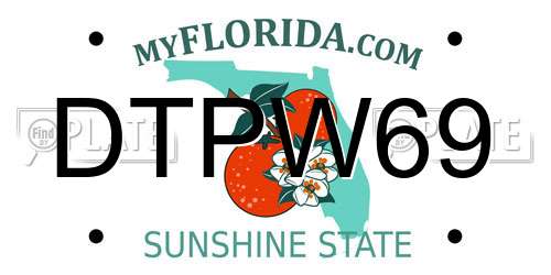 DTPW69 Florida License Plate